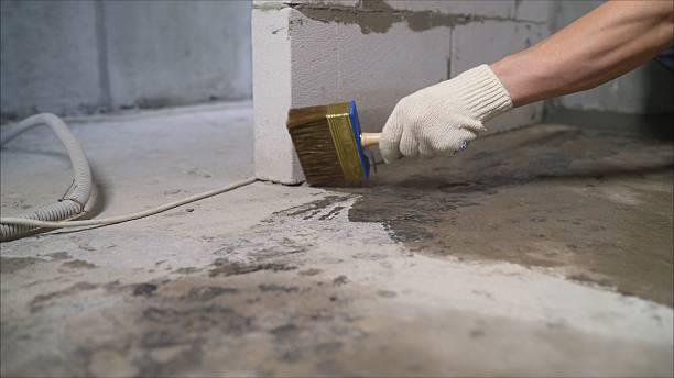 Top rated local Basement Waterproofing specialists in Shawnee, KS